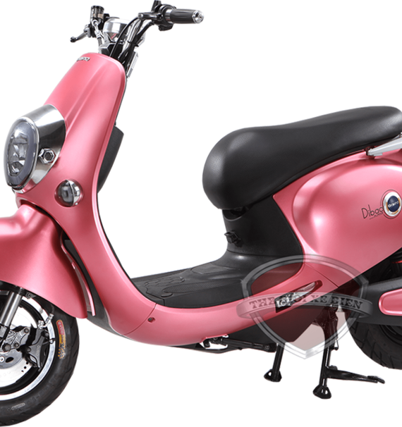 Xe Máy Điện Dibao Nami