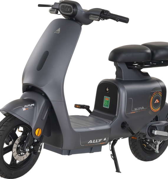 Xe Đạp Điện VC Elyas Ally - Đầy Đủ Giấy Tờ