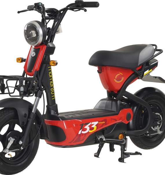 Xe Đạp Điện Giant Momentum M133 R Thẻ Từ NFC