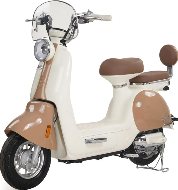 Xe Đạp Điện Tailg Princess JS50 (Đầy Đủ Giấy Tờ)