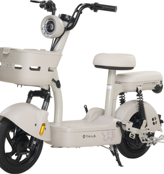 Xe Đạp Điện Tailg JY33 Mini Bike 4 ACQUY 13Ah 60km/1 lần sạc