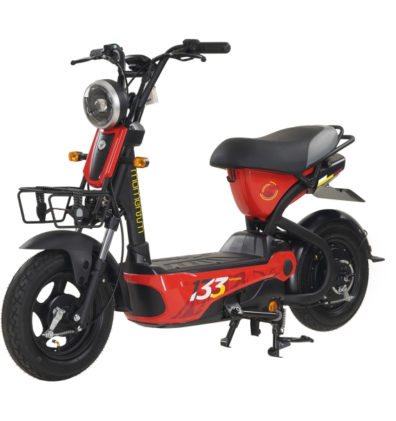 Xe Đạp Điện Giant Momentum M133 R Thẻ Từ NFC