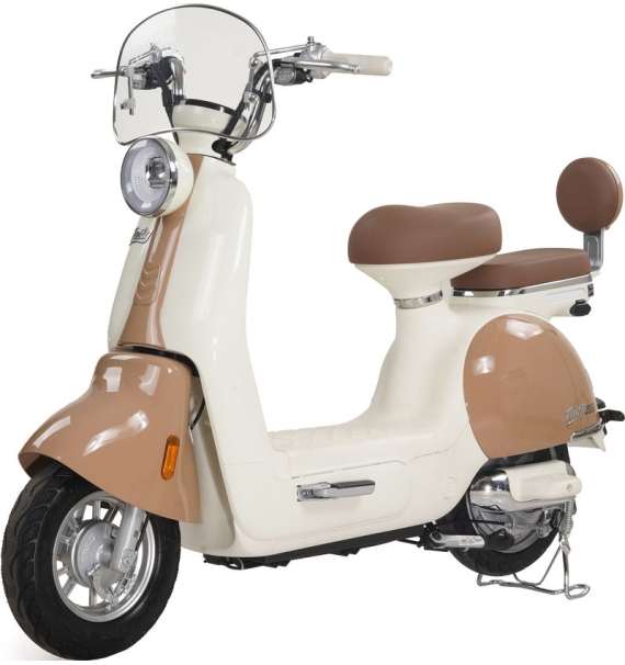Xe Đạp Điện Tailg Princess JS50 (Đầy Đủ Giấy Tờ)